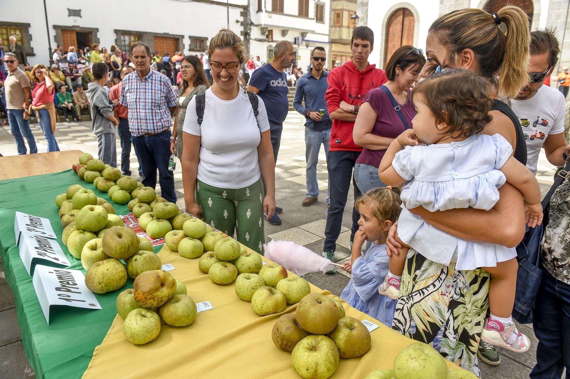 Fiestas de la manzana de Valleseco