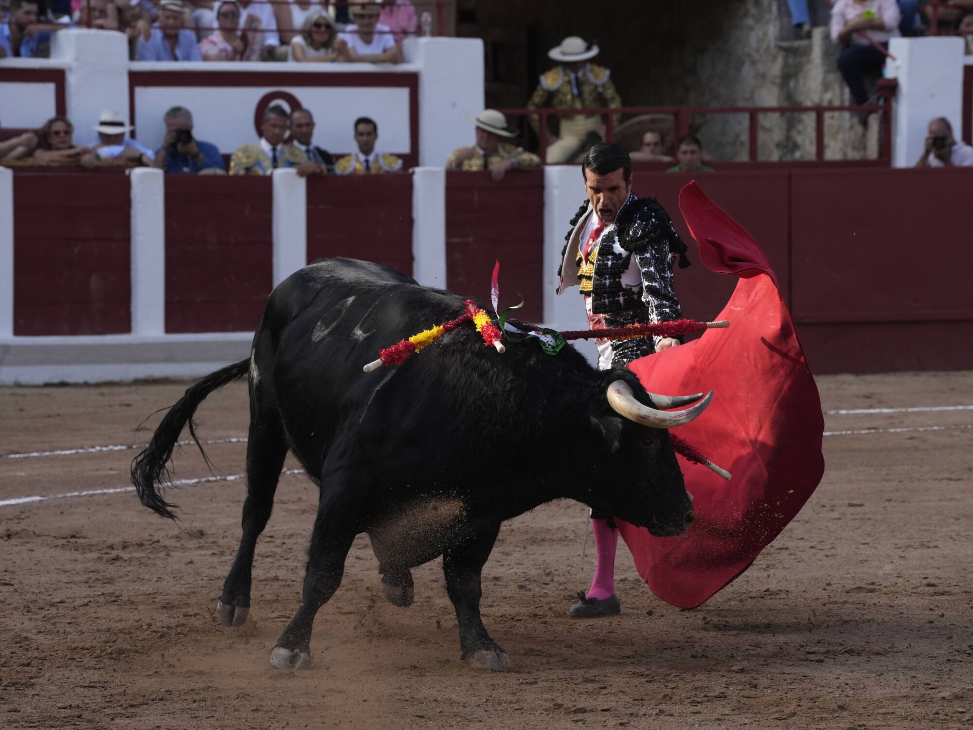Las mejores imágenes de la feria taurina de San Pedro en Zamora.