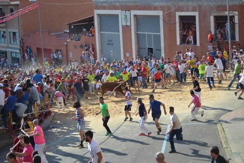 La carrera del Toro Enmaromado 2017 Razonador