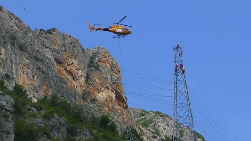 La Fiscalía investiga la electrocución de aves en una zona de protección en la Safor