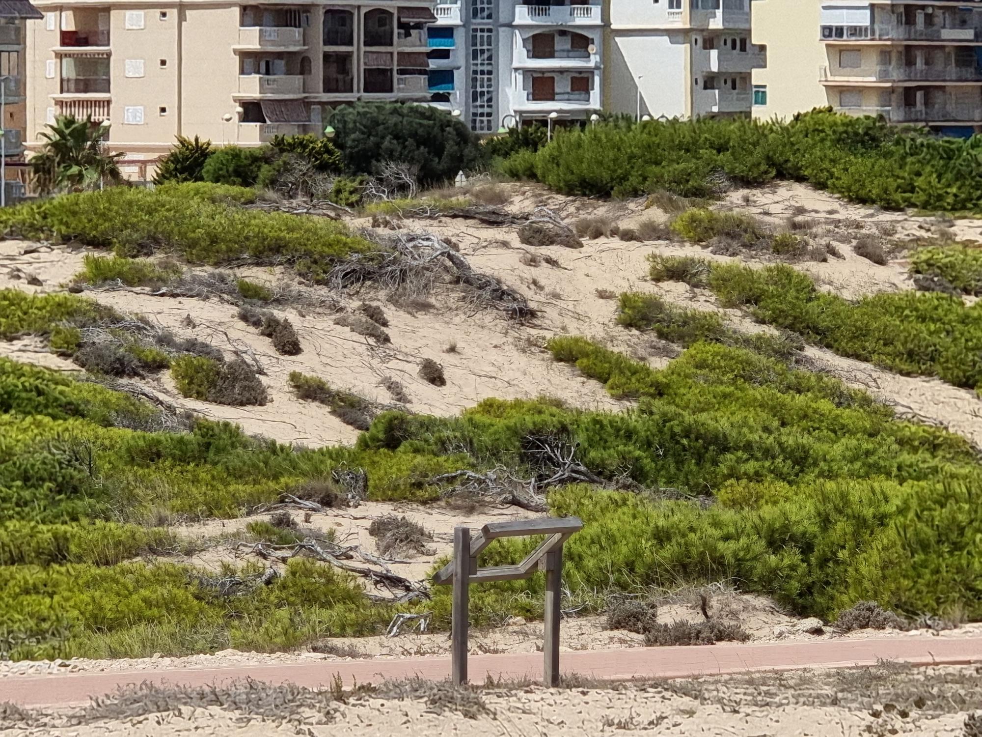 Así queda el paraje del Molino del Agua de Torrevieja tras un botellón