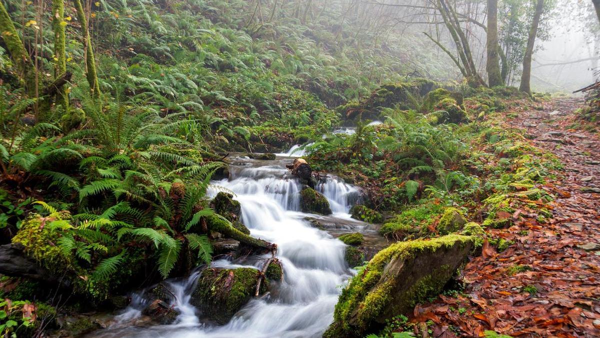La belleza única de la comarca de Taramundi