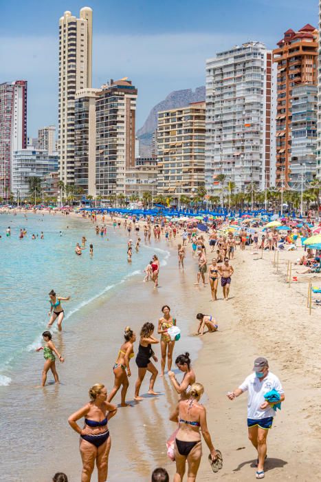 Este es el aspecto que presentan hoy las playas de Benidorm