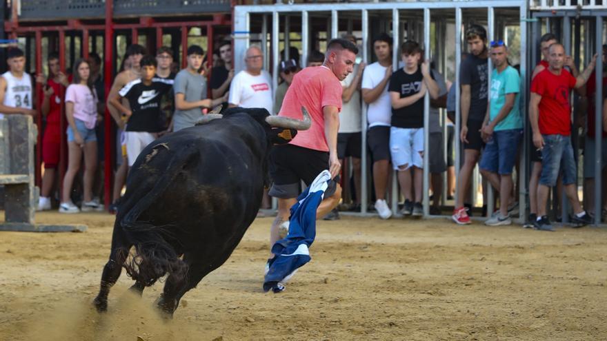 Actos taurinos en las fiestas de Sagunt