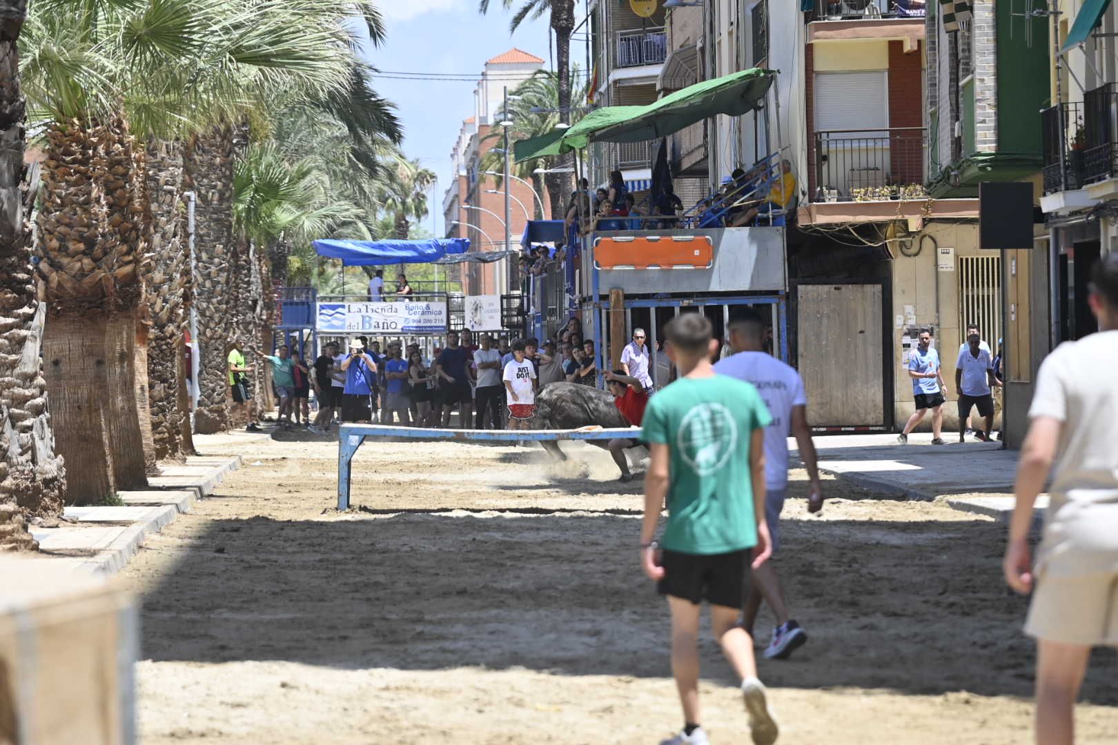 El ‘bou’ toma protagonismo mañana, tarde y noche en el Grau en fiestas