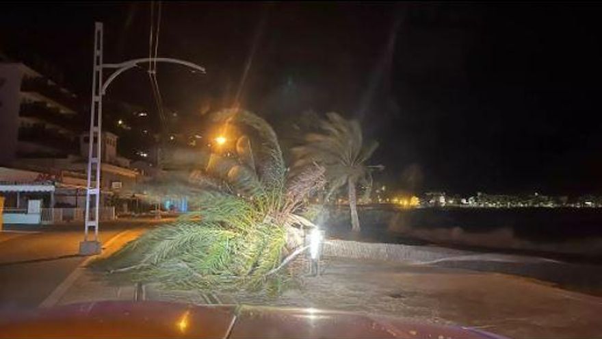 Heftige Sturmböen in der Nacht verursachen zahlreiche Schäden auf Mallorca