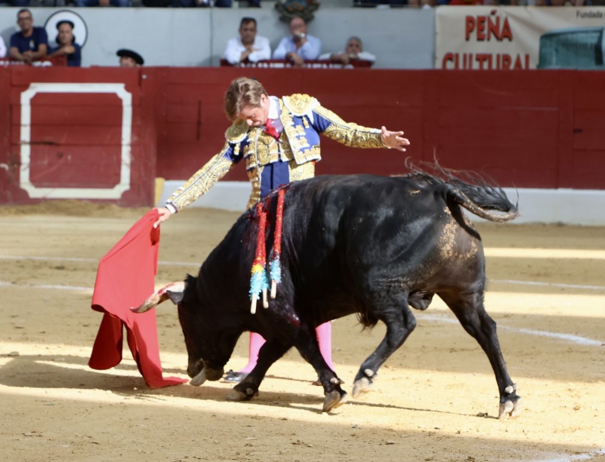 Las imágenes de la vuelta de los toros a la plaza de Villena