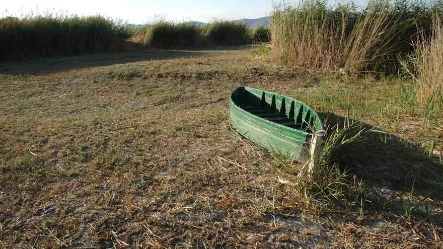 Situación de emergencia en Las Tablas de Daimiel, que sigue los pasos de Doñana