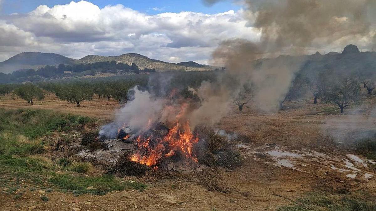 Las quemas agrícolas están prohibidas desde el pasado 5 de enero.