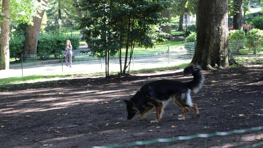 Seis nuevos espacios caninos para tus mascotas