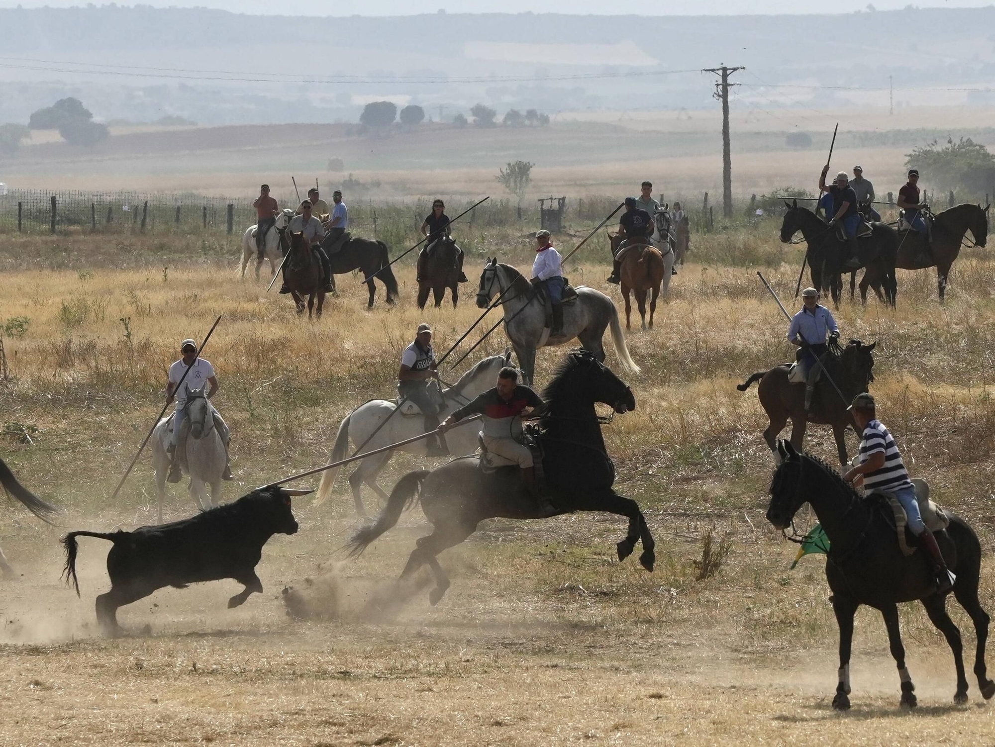 GALERÍA | Multitudinario encierro en la pradera de Guarrate