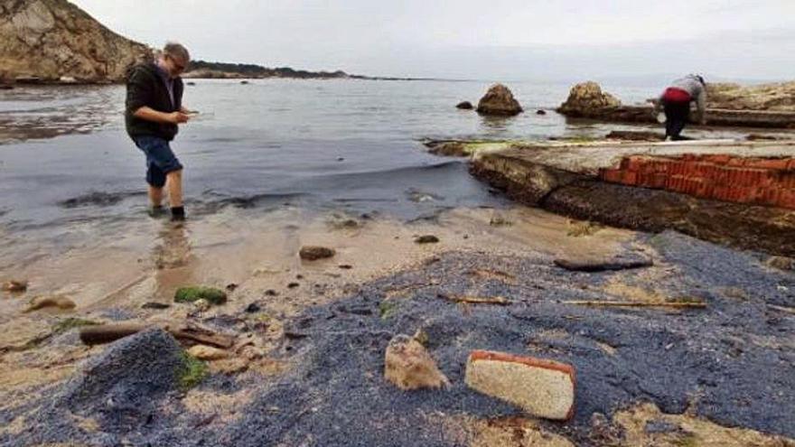 Les meduses en un punt de la costa de l&#039;Escala.