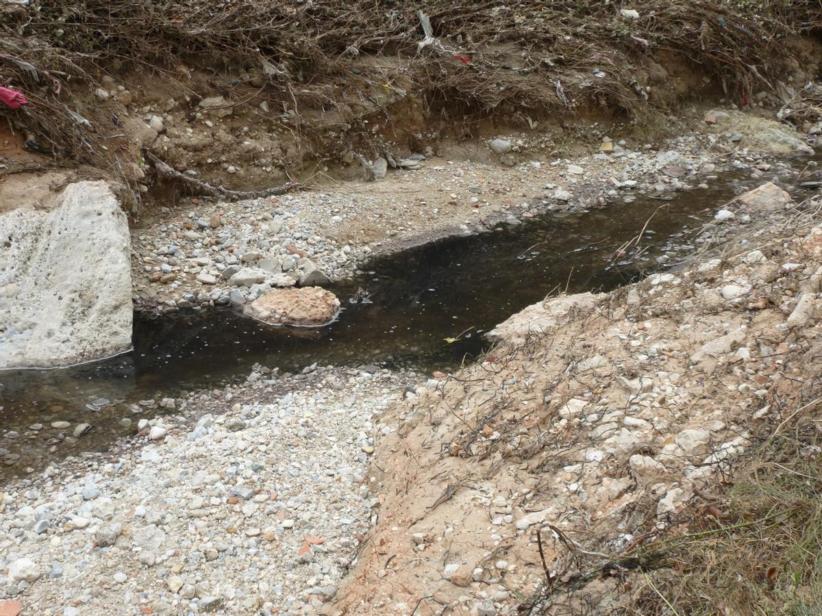 Las aguas negras procedentes del vertido