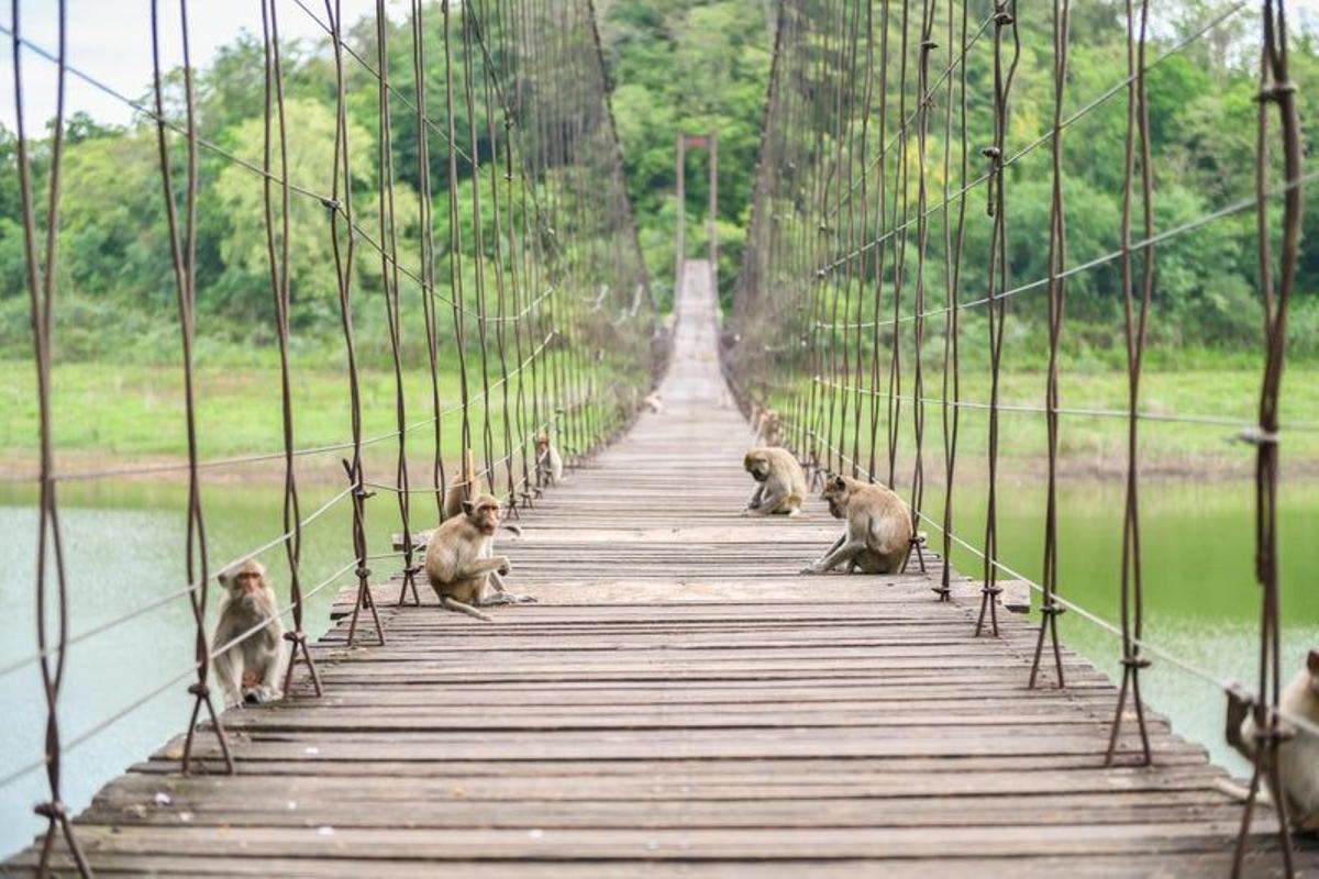 Tailandia