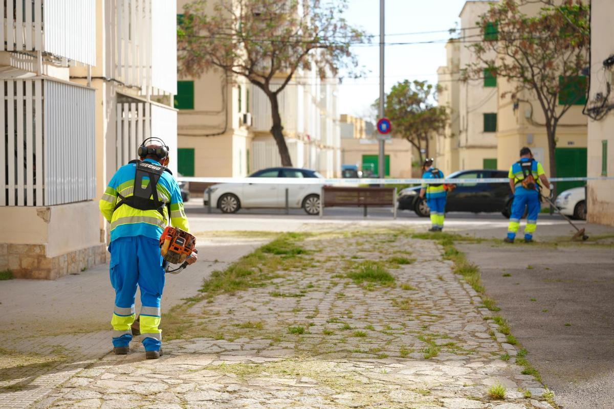 Emaya consolida la mejora del servicio de eliminación de malas hierbas