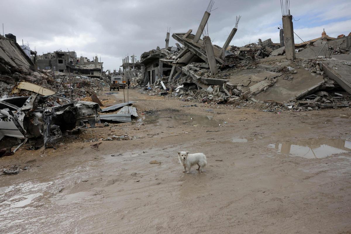 Miles de palestinos vuelven al norte de Gaza mientras Trump insiste en hacer de Gaza una Riviera