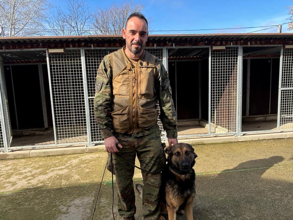 Este pastor alemán, llamado DECO, es experto en encontrar explosivos