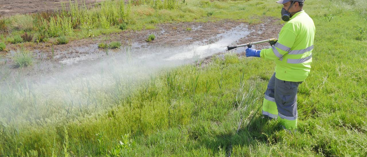 Imagen de archivo de tratamiento contra los mosquitos en Nules, uno de los municipios donde más proliferan.