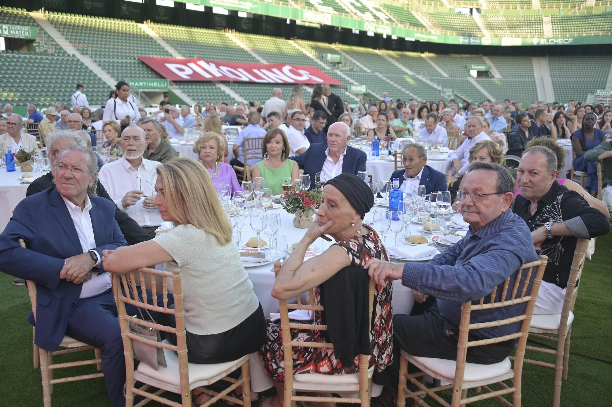 40 Aniversario de PIKOLINOS en Elche