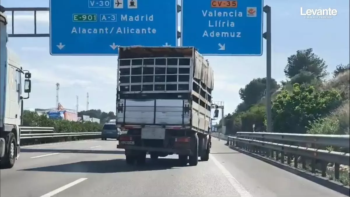 La Guardia Civil evita que un camión con 26 deficiencias técnicas graves causara un accidente en la A-7 entre Museros y Bétera