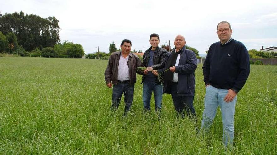 Primer acuerdo de cesión de una finca en Bergondo a través de la bolsa de tierras en 2014.