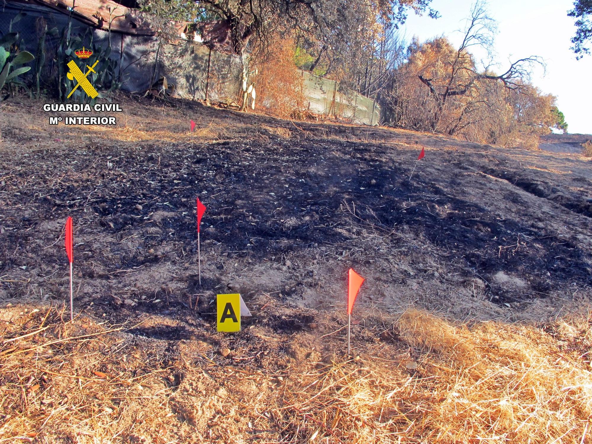 Imagen de la zona afectada por el incendio