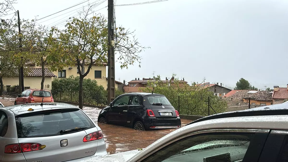 Efectes de la tempesta d'aquest dijous a Moià