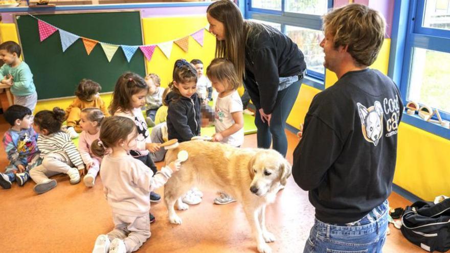Actividad de sensibilización con perros en las cuatro escuelas infantiles Galiña Azul de Oleiros