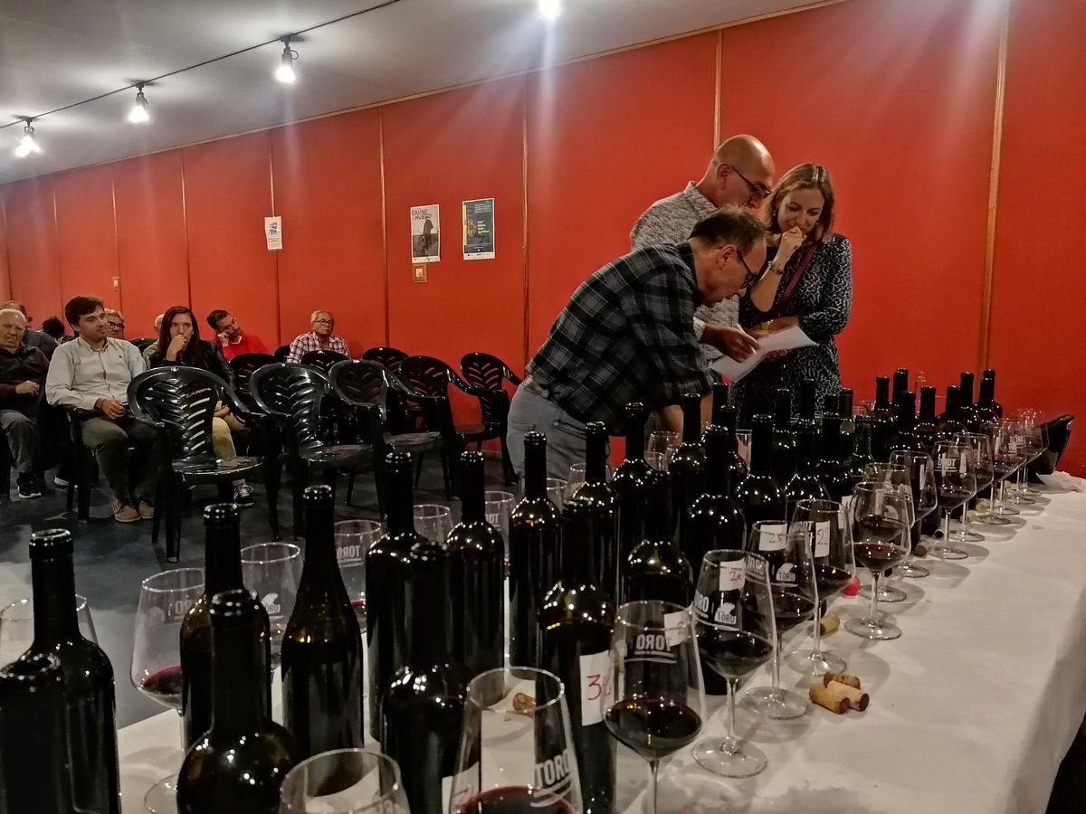 Catadores intercambian impresiones sobre los vinos del concurrso