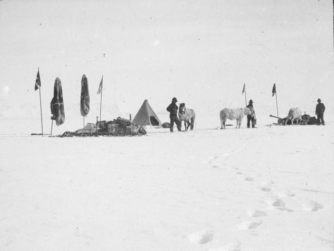 Expedición del “Nimrod”, liderada por Ernest Shackleton.