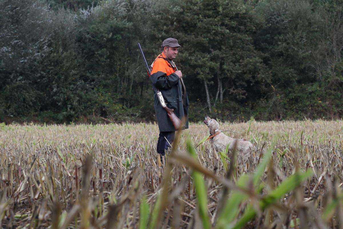 Un cazador y su perro en Abadín