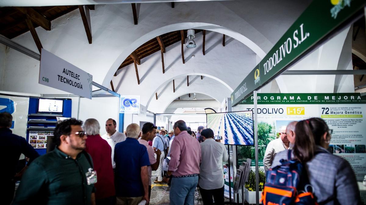 Feria del Olivo de Montoro del año pasado.