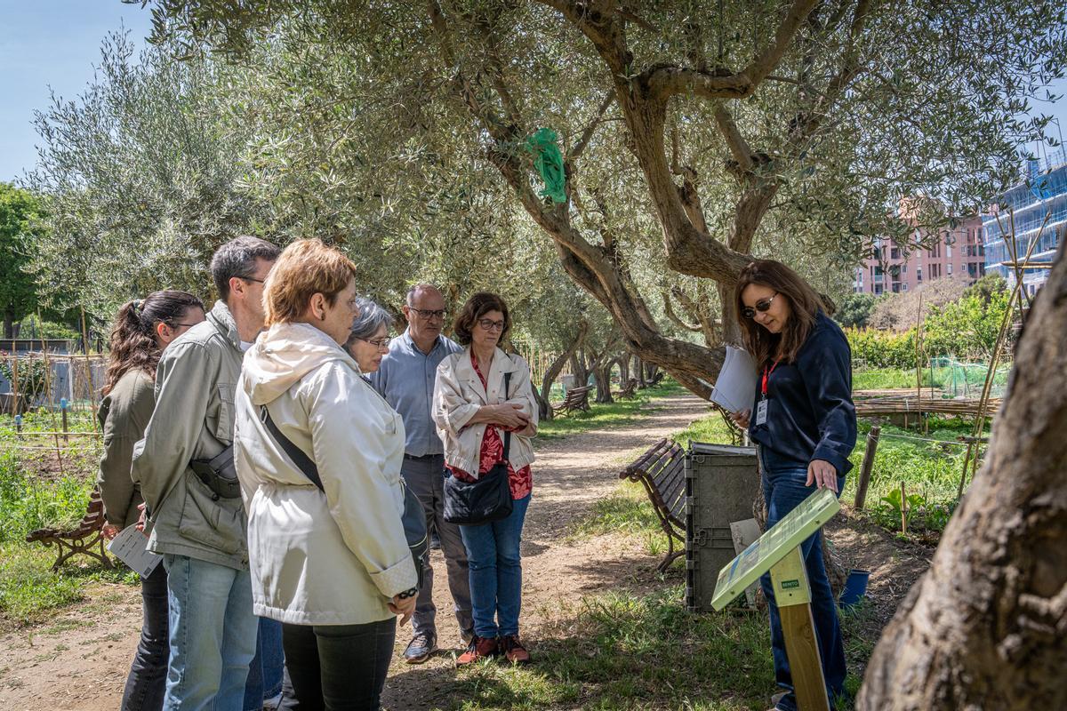 Masia Can Mestres y huerto urbano, uno de los espacios del Open Barri de Primavera en La Marina, que abre sus puertas dentro del Open House insólito en la Zona Franca.