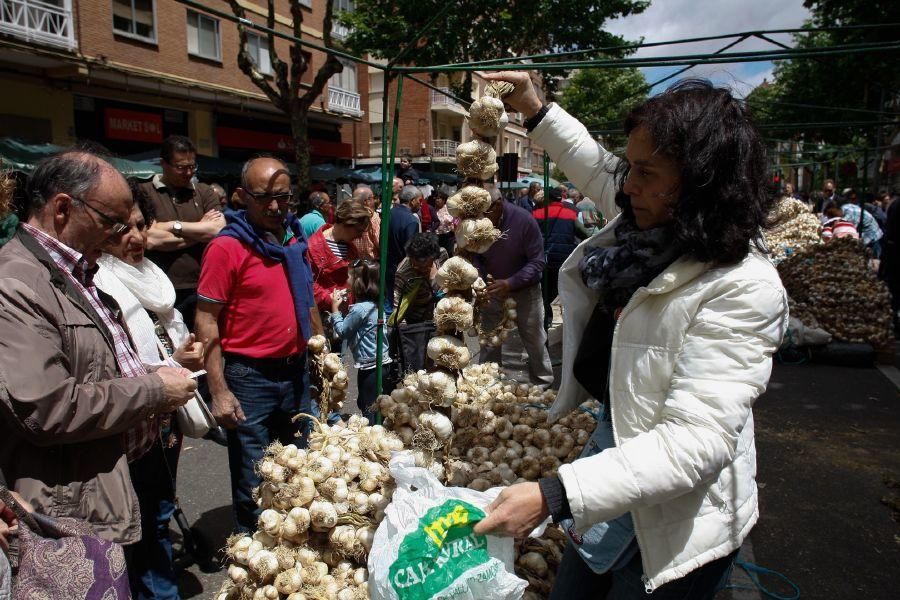 Fiestas San Pedro 2017: Feria del Ajo