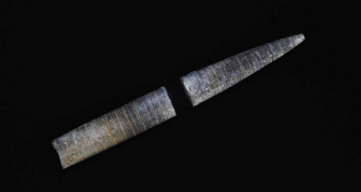 Fósil de belemnites. Las dos piezas suman algo más de diez centímetros. / CAT