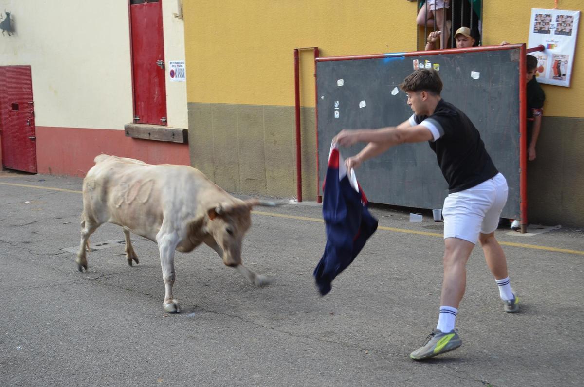 La Vaca de la Juventud, en Benavente.