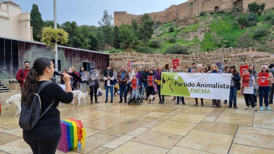 Piden en Málaga incluir a los perros de caza en la Ley de Protección Animal