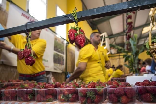 Fiesta de la Freasa en Valsequillo con concurso ...