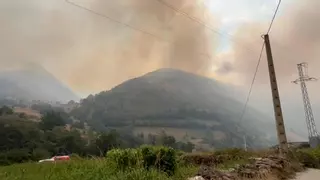 Última hora sobre los incendios en Asturias