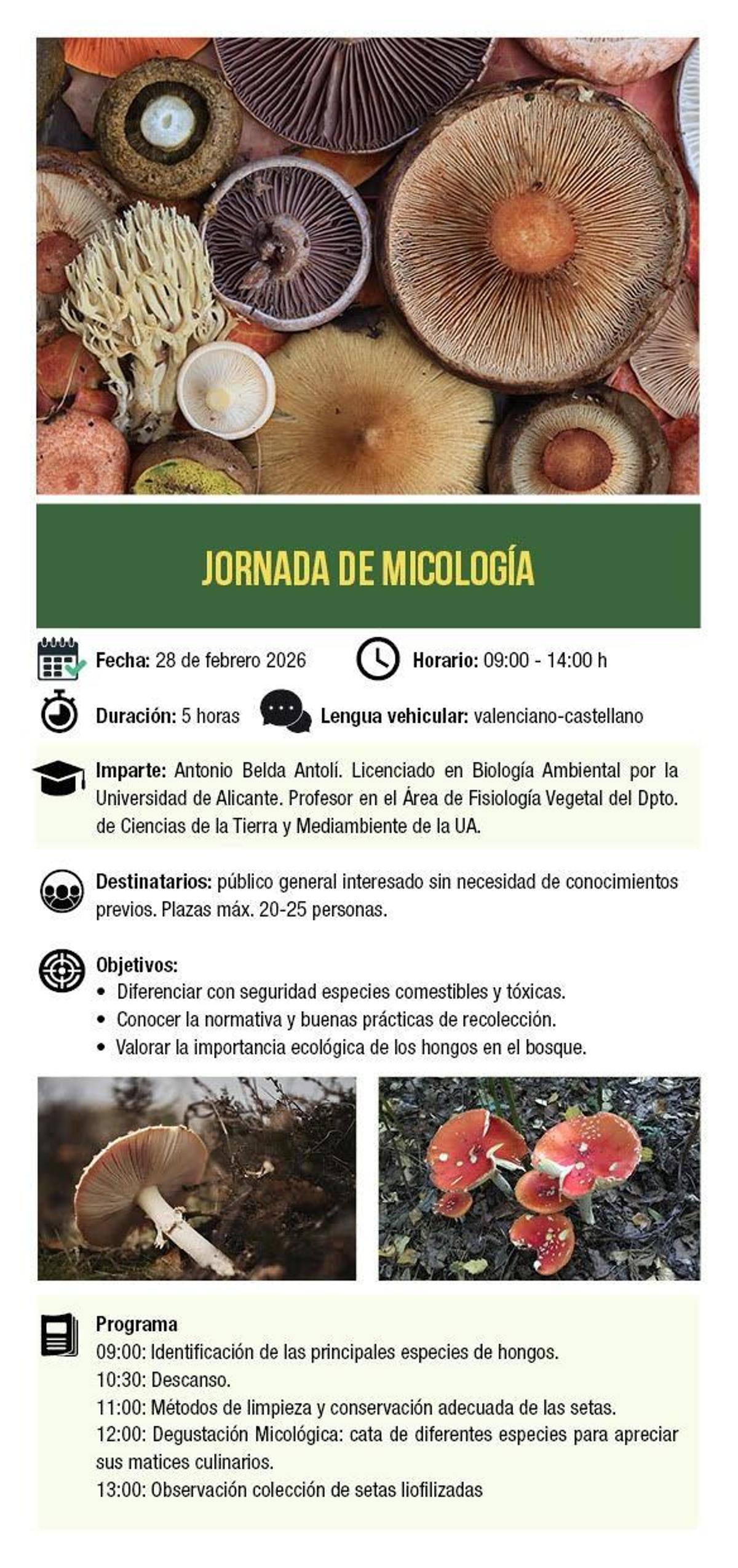 Cartel CEM del curso Micologia 2026