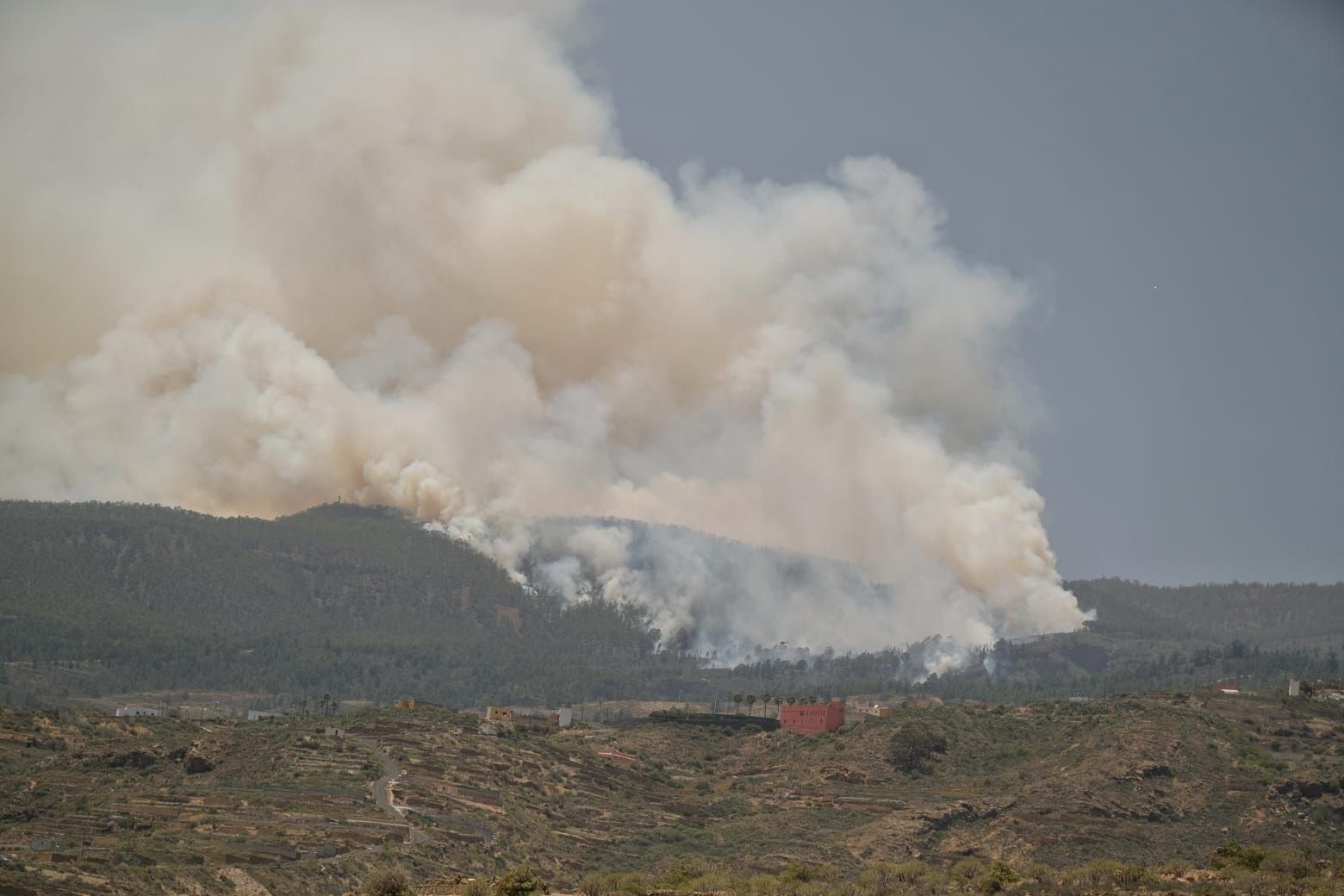 Incendio forestal en Arico