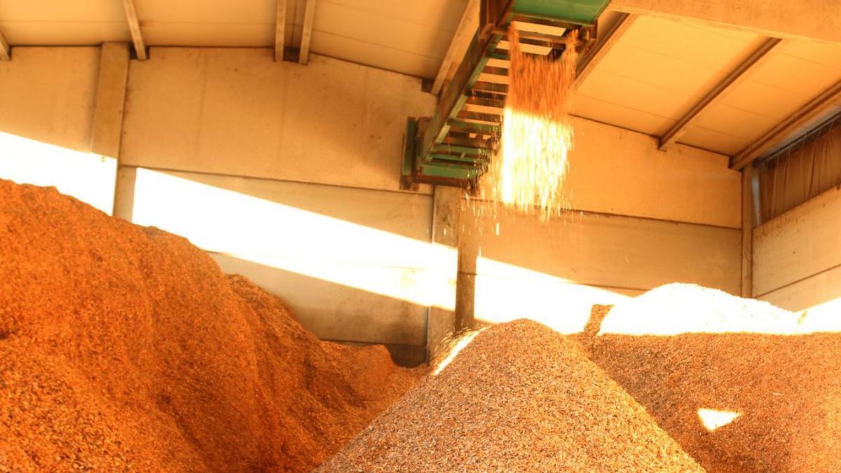 Planta de biomassa a Celrà, el    passat mes de gener.