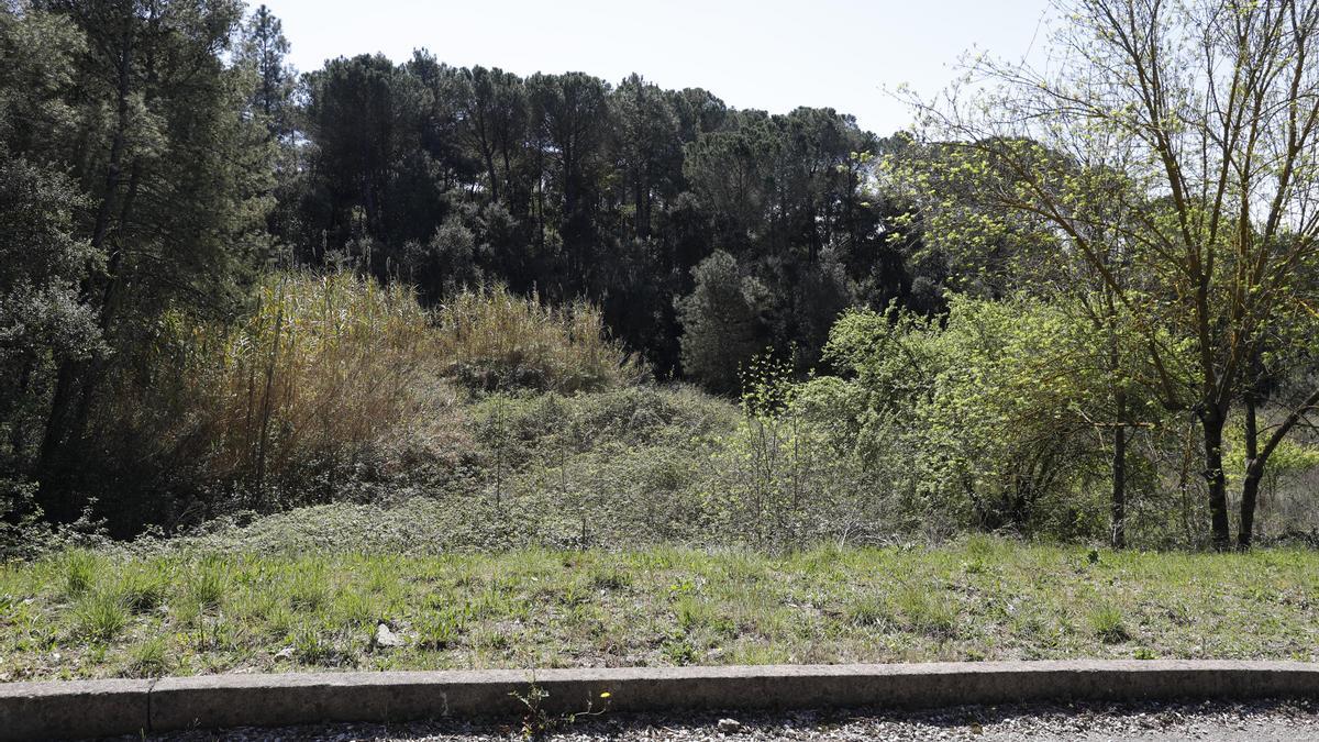 Els terrenys municipals on es proposa la ubicació del Centre d&#039;Acollida d&#039;Animals del Gironès.