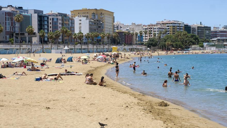 Tres hombres roban a puñetazos un móvil a un viandante en Las Alcaravaneras