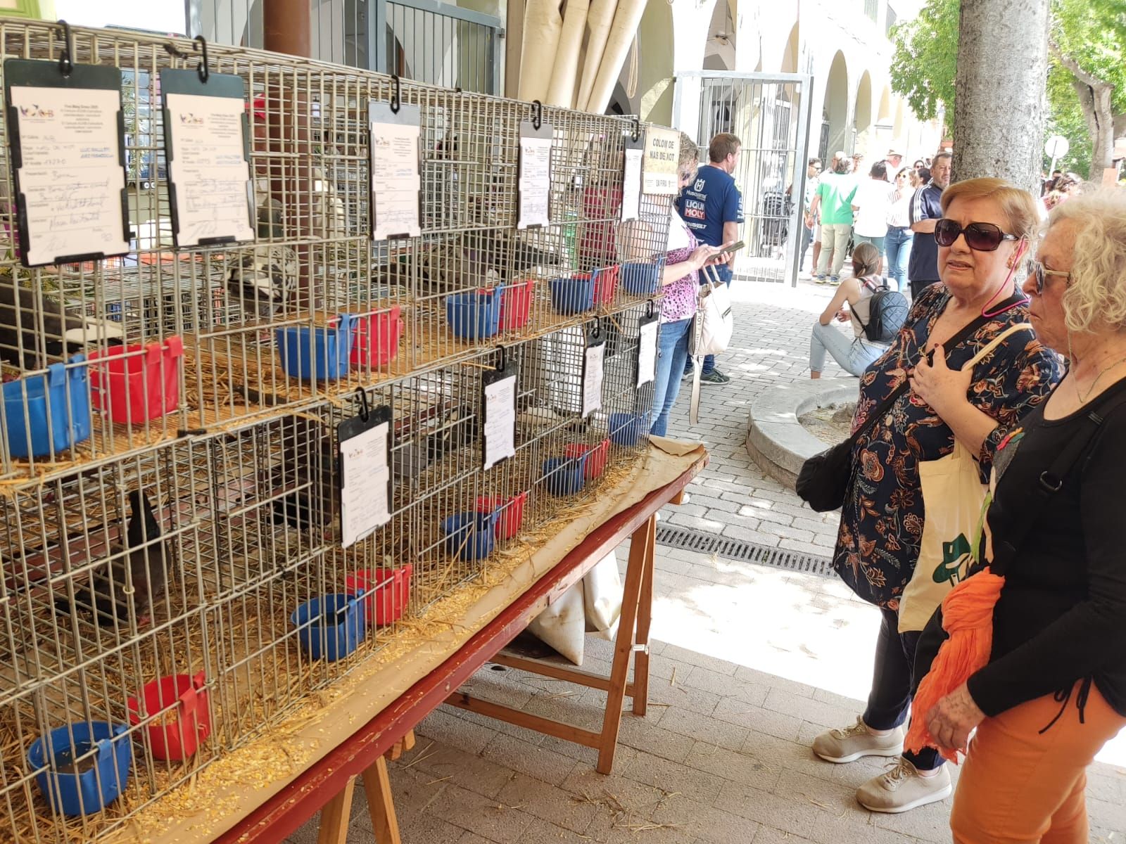 La Fira de Sineu, en imágenes