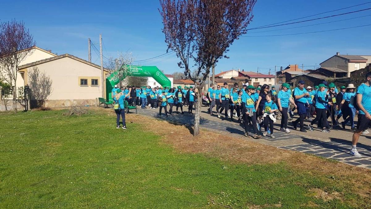 Marcha senderista en Palazuelo.
