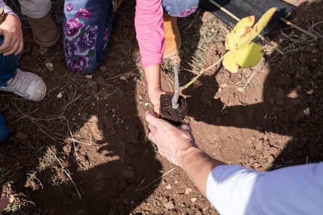 47 DÍA DEL ARBOL