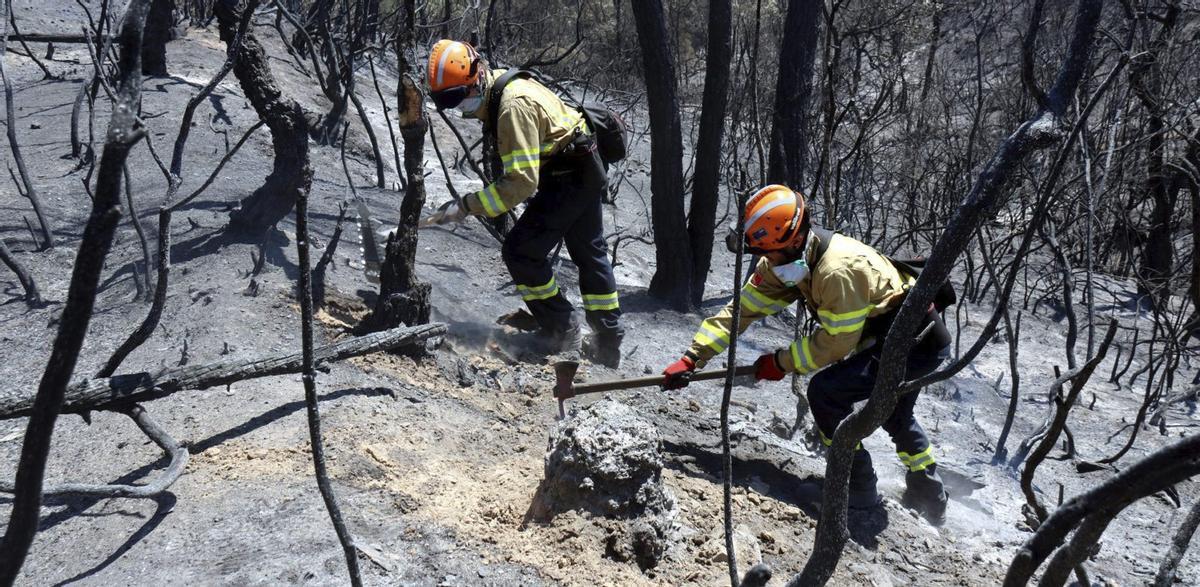 Agricultura va avisar per SMS les empreses autoritzades de les restriccions a l'ús de maquinària el dia abans de l'incendi de Les Gavarres