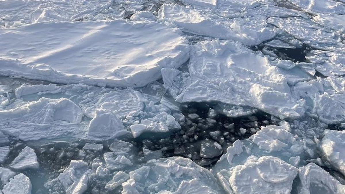 Adiós ‘pausa’: el hielo invernal del Ártico vuelve a disminuir drásticamente