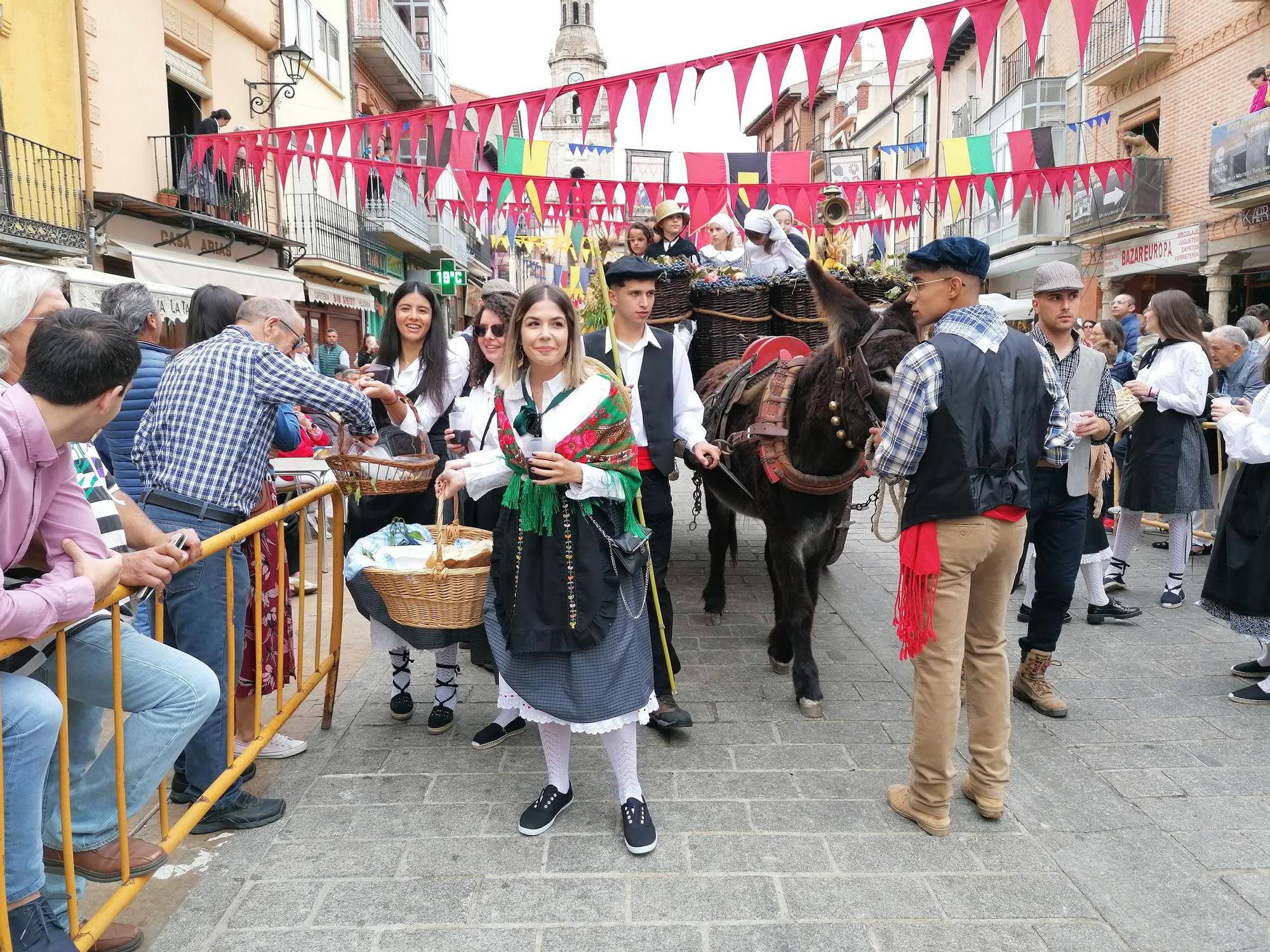 GALERÍA | Toro recrea la vendimia tradicional en el desfile de carros